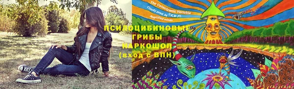 крисы Алексин