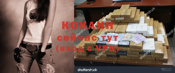 крисы Алексин