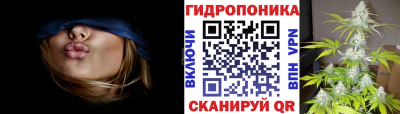 Бошки марихуана THC 21%  Игра 